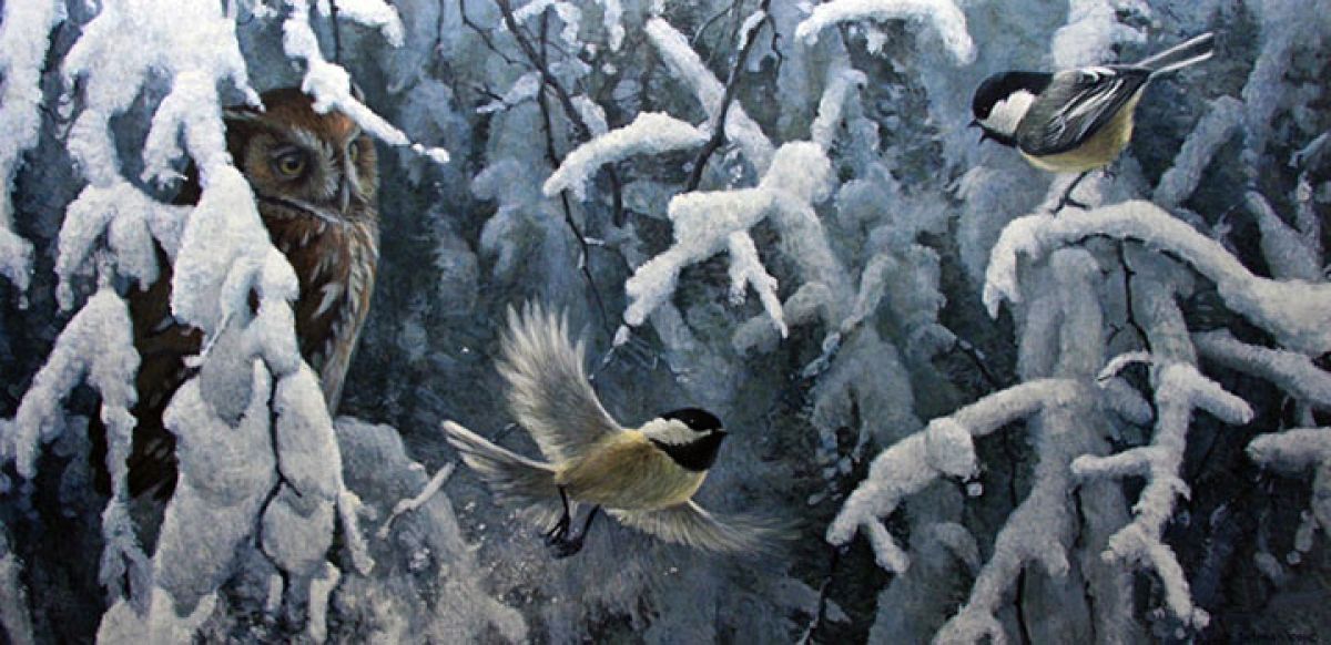 The Scolding - Chickadees And Screech Owl
